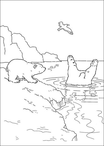 Polar Bear Is Diving Coloring Page